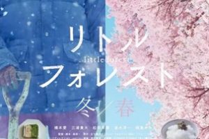 2015年日本经典剧情《小森林 冬春篇》BD日语中字