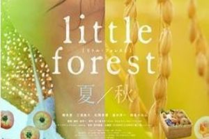 2014年日本经典剧情《小森林 夏秋篇》BD日语中字