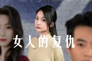 女人的复仇（25集）