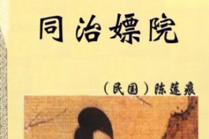 中华古代言情丛书-同治嫖院[民国 陈莲痕]