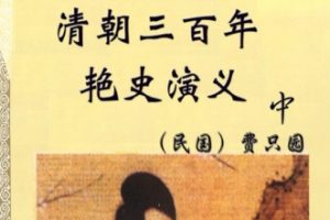 中华古代言情丛书-清朝三百年艳史演义中[民国 费只园]