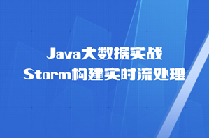 Java大数据实战 Storm构建实时流处理