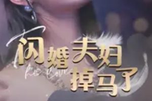 闪婚夫妇掉马了（40集）