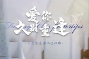 爱你久别重逢[全100集]