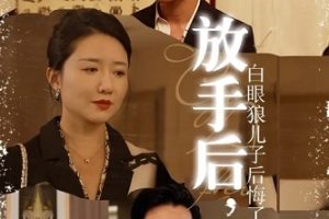 放手后，白眼狼儿子后悔了[全54集]