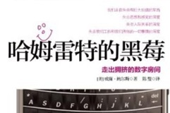 哈姆雷特的黑莓 走出拥挤的数字房间[美 威廉·鲍尔斯][中信出版社]