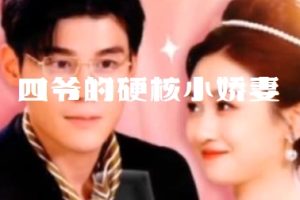 四爷 夫人又和人打起来了/四爷的硬核小娇妻/夫人她是个小作精[全31集]