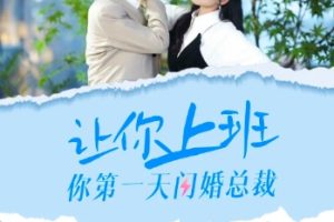 让你上班你第一天闪婚总裁[全36集]