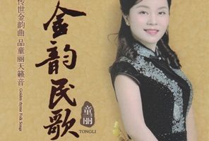 童丽《金韵民歌HQⅡ》头版限量[MP3]