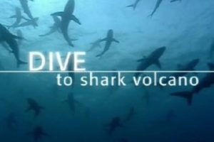 2005年 探潜鲨鱼火山 Dive To Shark Volcano（全1集）