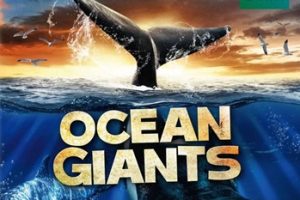 2011年 海洋巨兽 Ocean Giants (全3集)