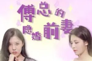 傅总的隐婚前妻（103集）