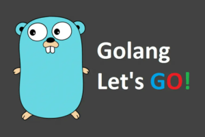 Go语言视频零基础入门到精通项目实战web编程Golang 2018年新教程