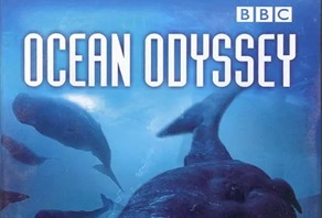 2006年 BBC纪录片 海洋奥德赛 Ocean Odyssey [全1集]