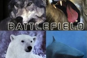 2005年 BBC纪录片 动物杀戮战场 Animal Battlefield [全4集]