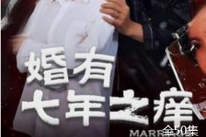 婚有七年之痒[全50集]