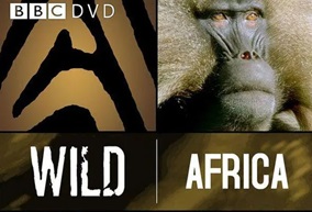 2001年 BBC纪录片 野性非洲 Wild Africa [全6集]