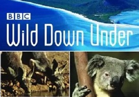 2003年 BBC纪录片 野性澳洲 Wild Down Under [全6集]