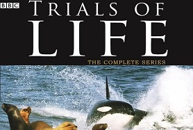 1990年 BBC纪录片 生命之源 The Trials of Life [全12集]