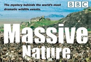 2004年 BBC纪录片 群体大自然 Massive Nature [全6集]