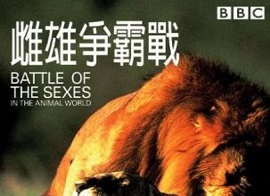 1999年 BBC纪录片 雌雄争霸战 Battle of the Sexes: in the Animal World [全1集]