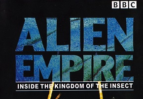 1995年 BBC纪录片 昆虫帝国 Alien Empire [全6集]