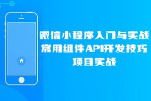 微信小程序入门与实战 常用组件API开发技巧项目实战