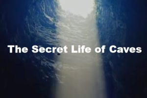 2003年 BBC纪录片 地平线 洞穴隐秘生物 BBC Horizon:The Secret Life of Caves [全1集]