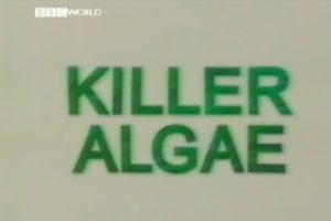 2009年 BBC纪录片 杀手藻 Killer Algae [全1集]