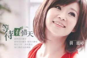 黄思婷2011-等待有情天[豪记唱片][WAV+CUE]