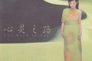 黄思婷2007-心灵之路[引进版][WAV+CUE]