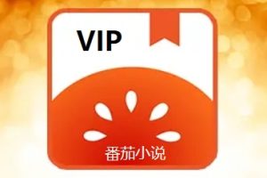 番茄小说VIP！安装就是2099年会员！完美版