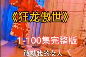 狂龙傲世[全100集]