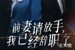 前妻请放手 我已经辞职了[全30集]