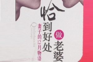 恰到好处做老婆 妻子的12月物语[水成冰][农村读物出版社]