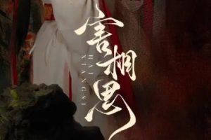 害相思[全31集]