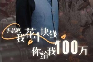 不是吧 我花1块钱你给我100万/24小时我百倍返现[全37集]