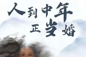 人到中年正当婚[全81集]