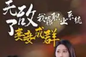 无敌了我靠职业系统妻妾成群[全71集]浩子