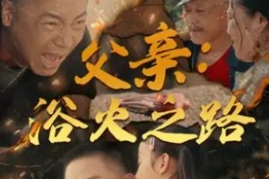 父亲 浴火之路/父亲的名义[全83集]