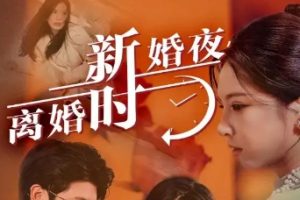 新婚夜 离婚时[全35集]