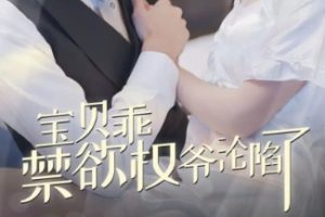 宝贝乖禁欲权爷沦陷了/甜妻入怀权爷求上位[全57集]