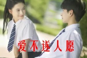 爱不遂人愿[全67集]孟娜