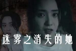 迷雾之消失的她[全73集]