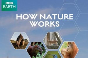 2013年 BBC 探秘自然界How Nature Works [全4集][英语中字][1080P]