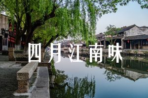 四月江南味[11集][国语中字][1080P]