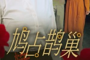 新版：鸠占鹊巢（45集）擦剧