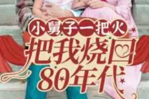 小舅子一把火把我烧回80年代（100集）