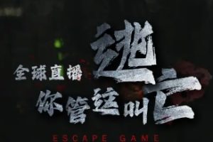 全球直播，你管这叫逃亡？（60集）