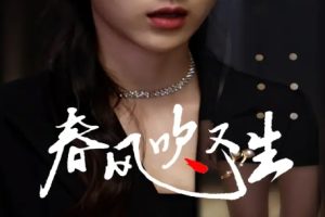 新版：春风吹又生（50集）